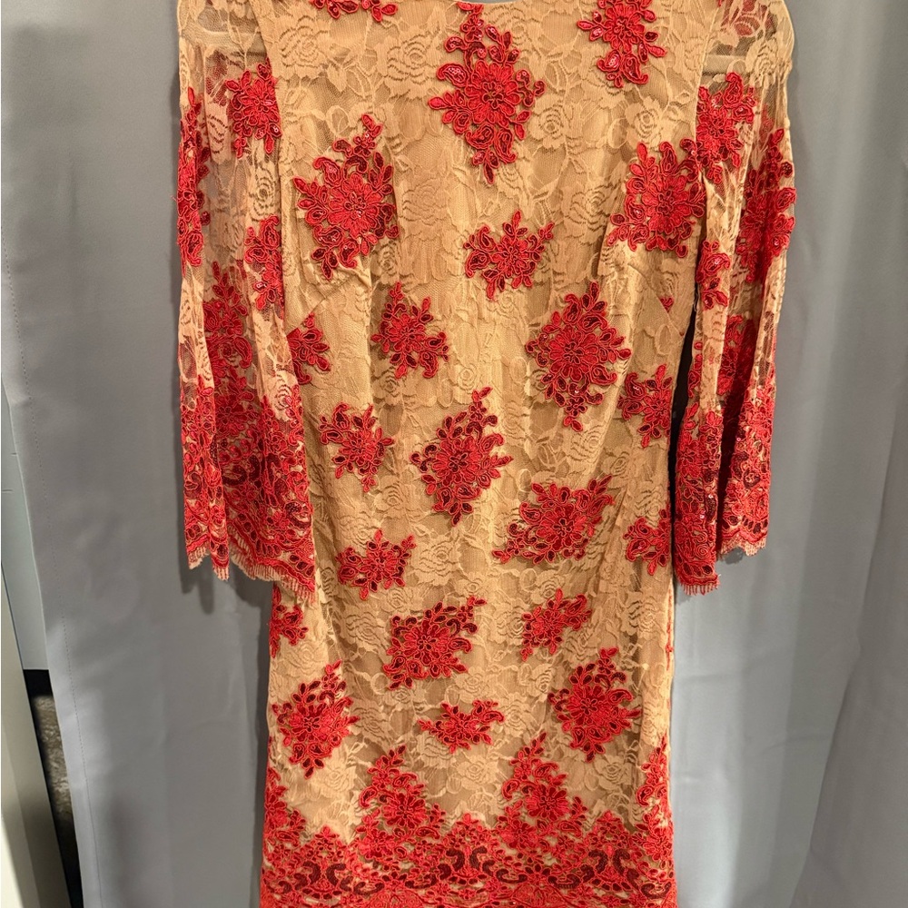 Dress the Population Tan and Red Lace Dress